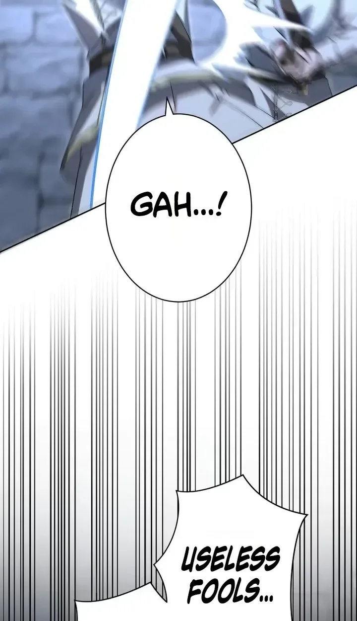 Don’t Obsess Over the Fake Princess! Chapter 44 page 13