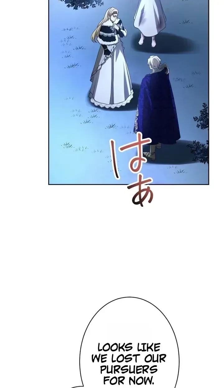 Don’t Obsess Over the Fake Princess! Chapter 44 page 34