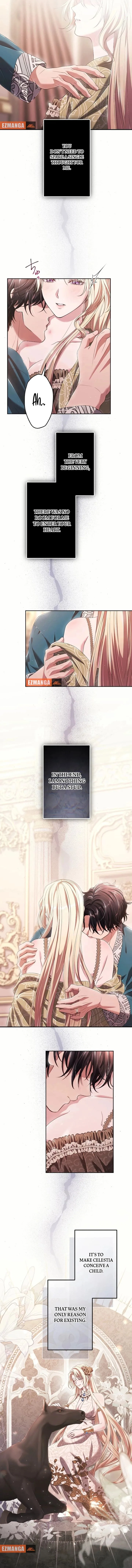 My Fifth Political Marriage Is With the Man Who Hates Me Chapter 30 page 7