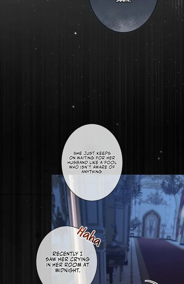 The Quiet Night You Disappeared: Nowhere to Run from the Husband I Divorce Chapter 4 page 5
