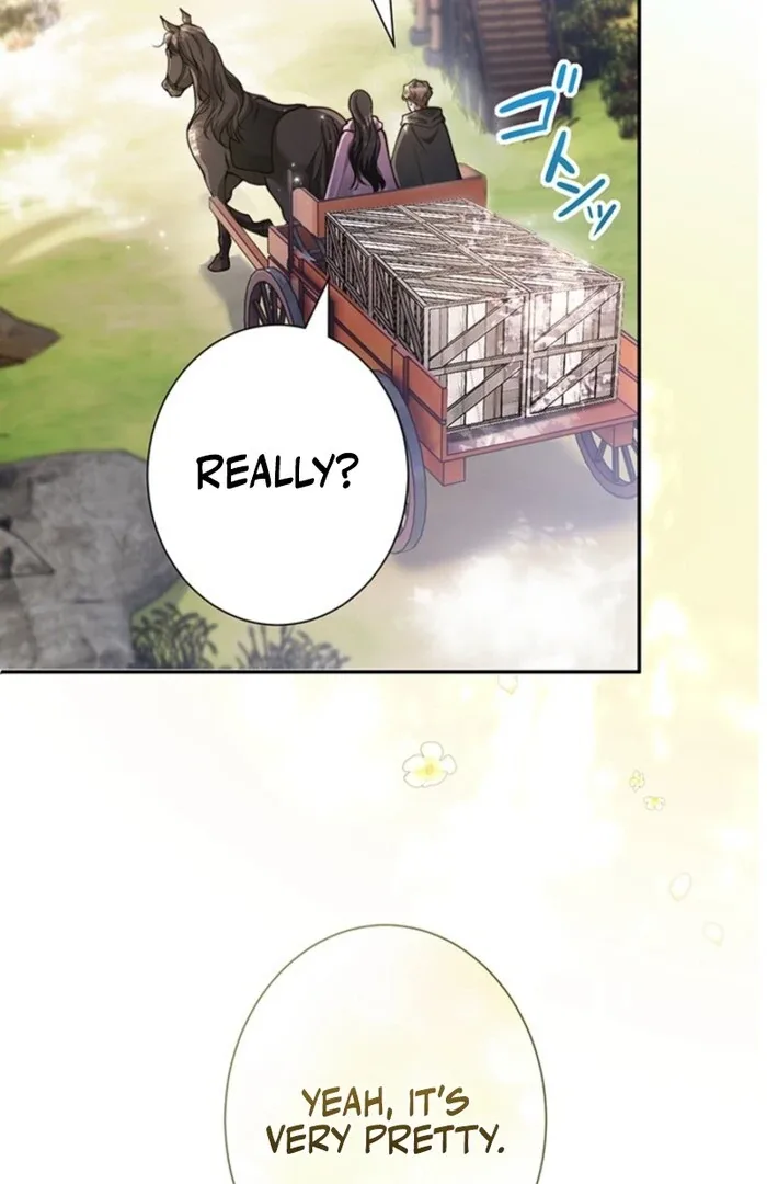 The Quiet Night You Disappeared: Nowhere to Run from the Husband I Divorce Chapter 5 page 44
