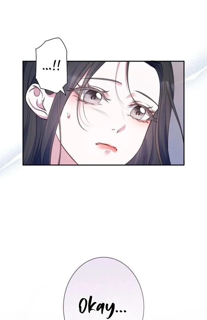 The Quiet Night You Disappeared: Nowhere to Run from the Husband I Divorce Chapter 6 page 11
