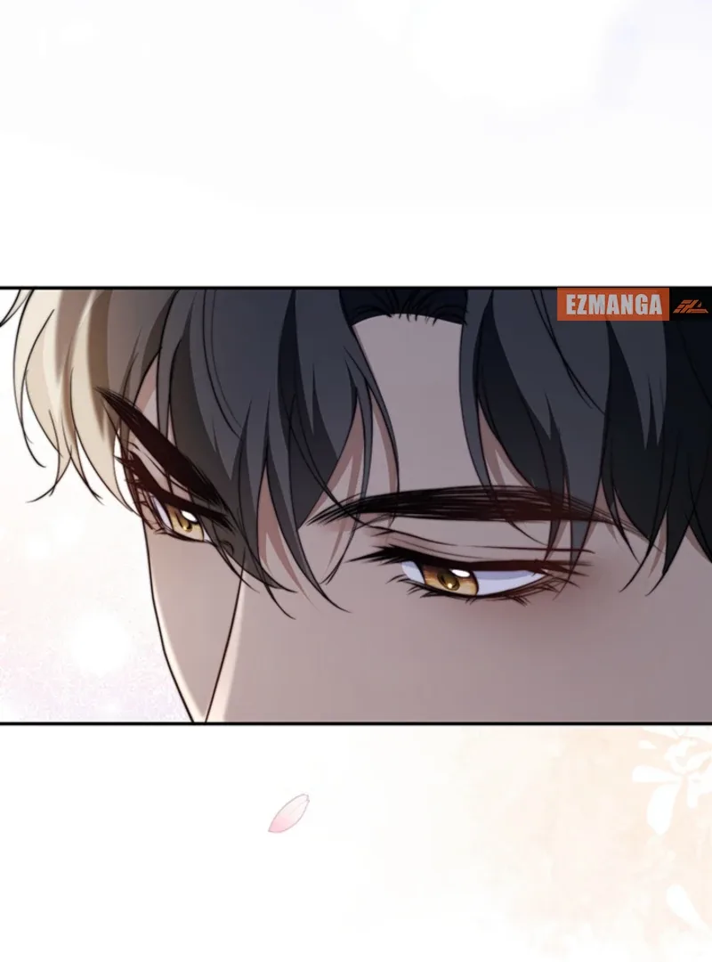 The Quiet Night You Disappeared: Nowhere to Run from the Husband I Divorce Chapter 12 page 27