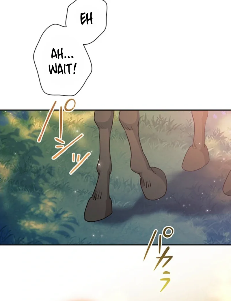 The Quiet Night You Disappeared: Nowhere to Run from the Husband I Divorce Chapter 16 page 47