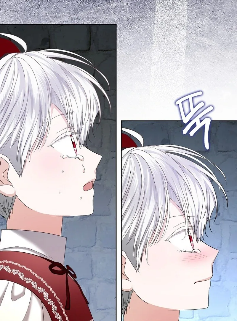 The Time-limited Extra Is Disguised as a Tutor in a Villain’s House Chapter 20 page 84