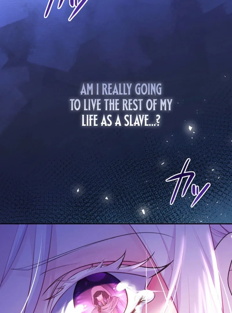 The Quiet Night You Disappeared: Nowhere to Run from the Husband I Divorce Chapter 19 page 85