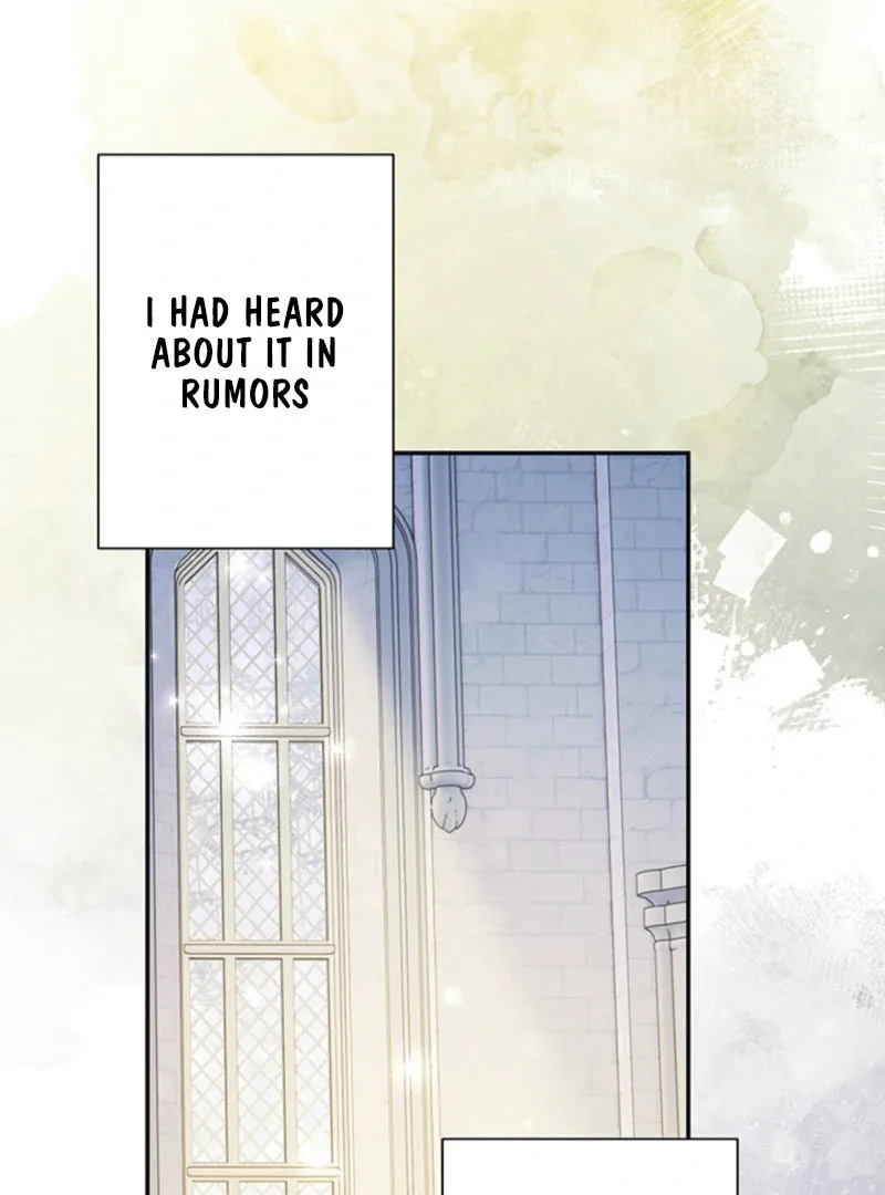 The Quiet Night You Disappeared: Nowhere to Run from the Husband I Divorce Chapter 25 page 8