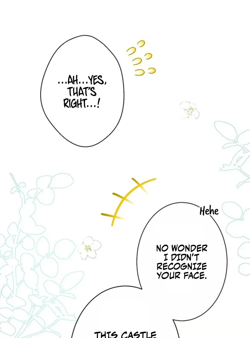 The Quiet Night You Disappeared: Nowhere to Run from the Husband I Divorce Chapter 25 page 44