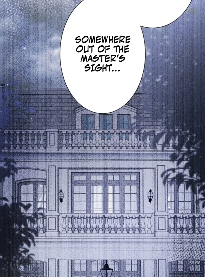 The Quiet Night You Disappeared: Nowhere to Run from the Husband I Divorce Chapter 25 page 77