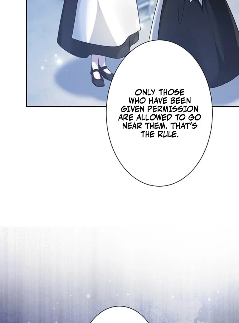 The Quiet Night You Disappeared: Nowhere to Run from the Husband I Divorce Chapter 25 page 75