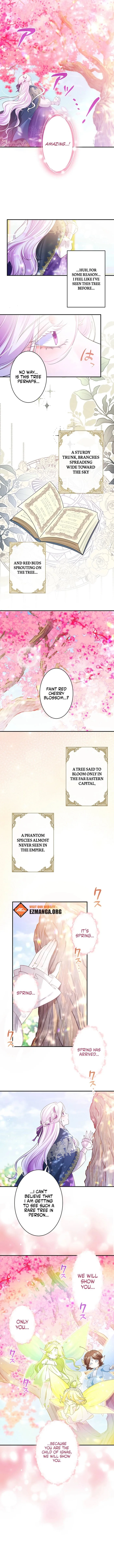 The Quiet Night You Disappeared: Nowhere to Run from the Husband I Divorce Chapter 30 page 6