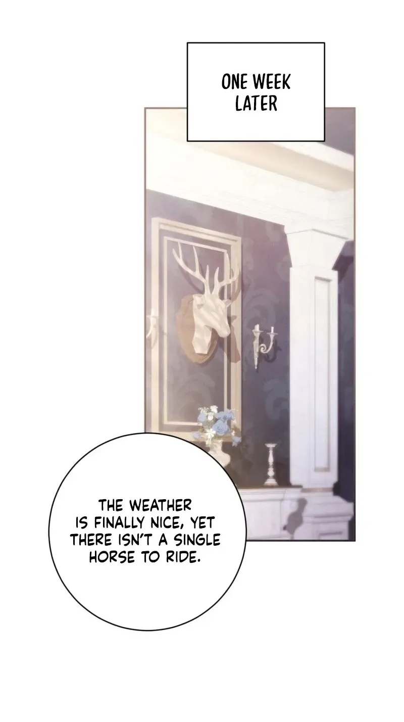 The Serpent of Paradise Chapter 7 page 16