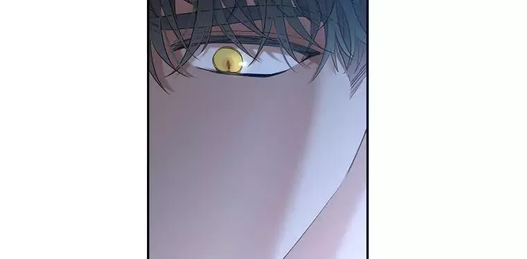 It Looks Like I’ve Fallen into the World of a Reverse Harem Game Chapter 60 page 141