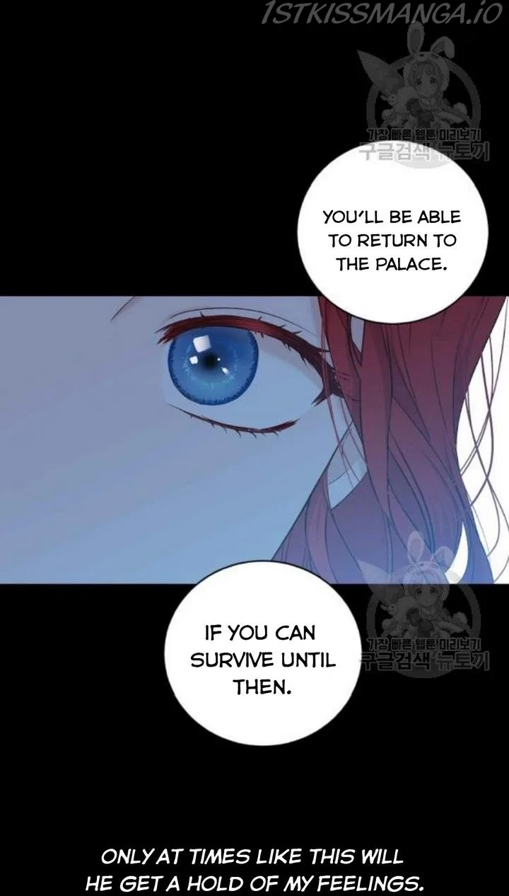It Looks Like I’ve Fallen into the World of a Reverse Harem Game Chapter 74 page 25