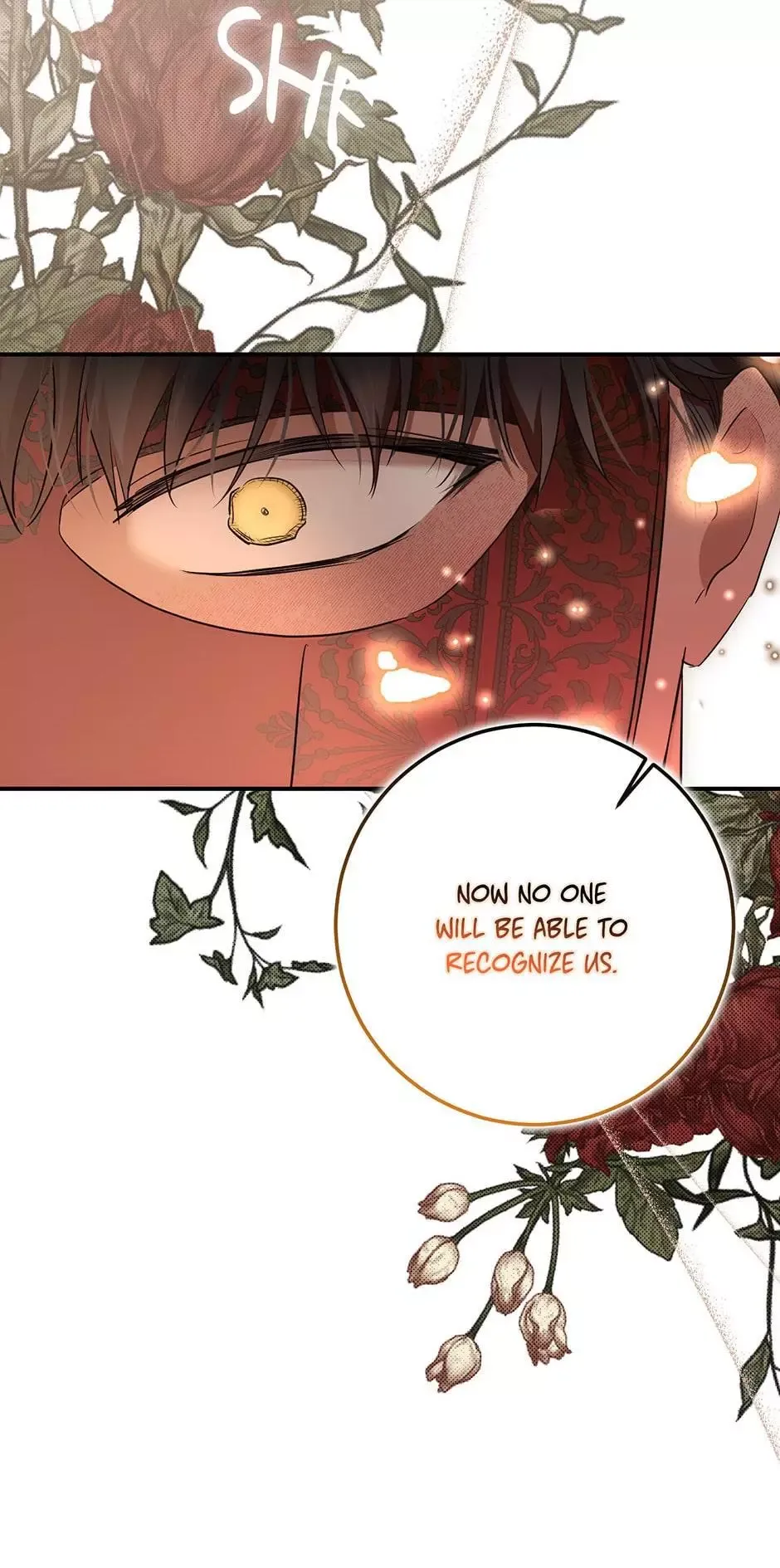 It Looks Like I’ve Fallen into the World of a Reverse Harem Game Chapter 81 page 19