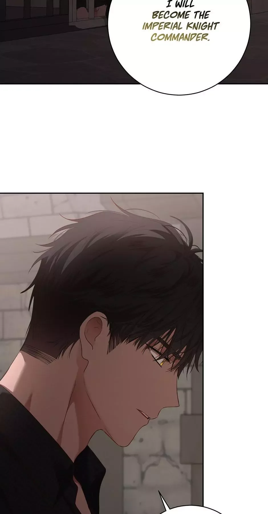 It Looks Like I’ve Fallen into the World of a Reverse Harem Game Chapter 115 page 19