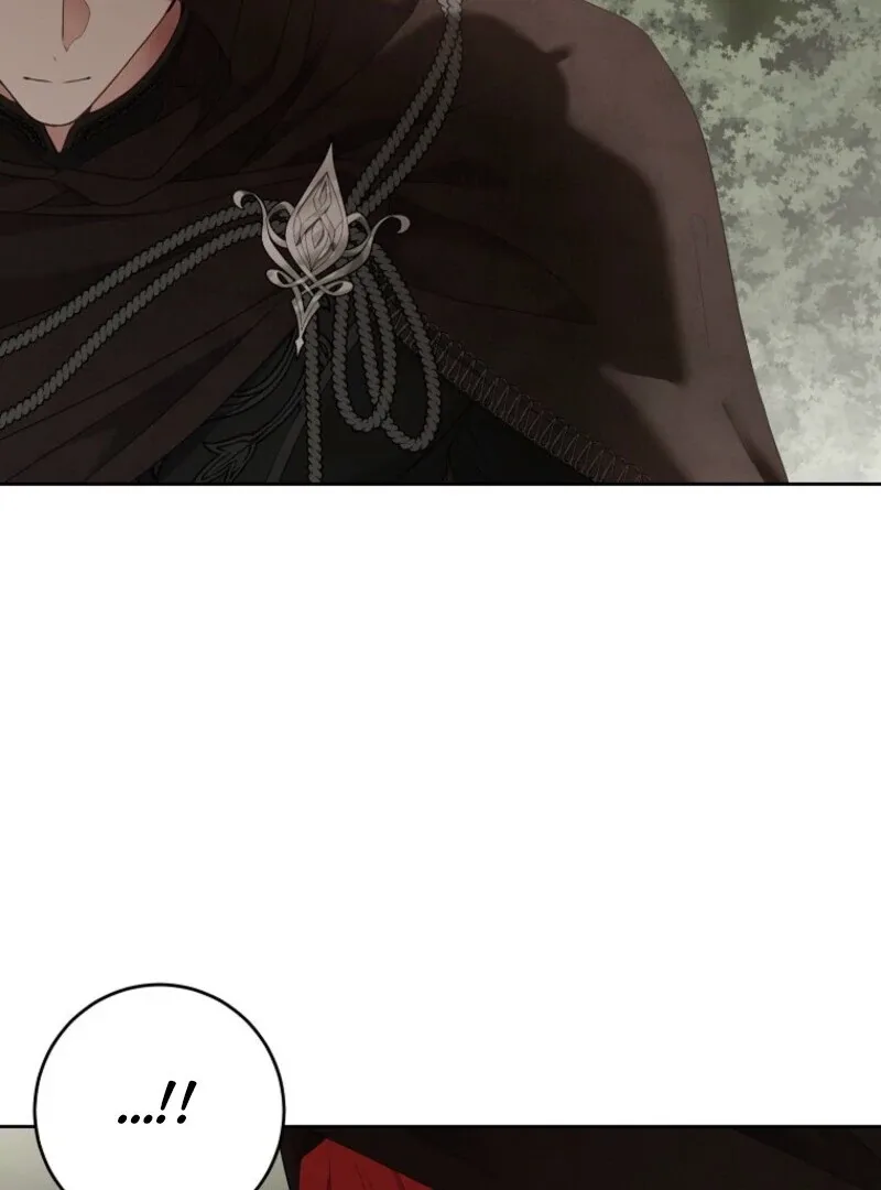 It Looks Like I’ve Fallen into the World of a Reverse Harem Game Chapter 156 page 79