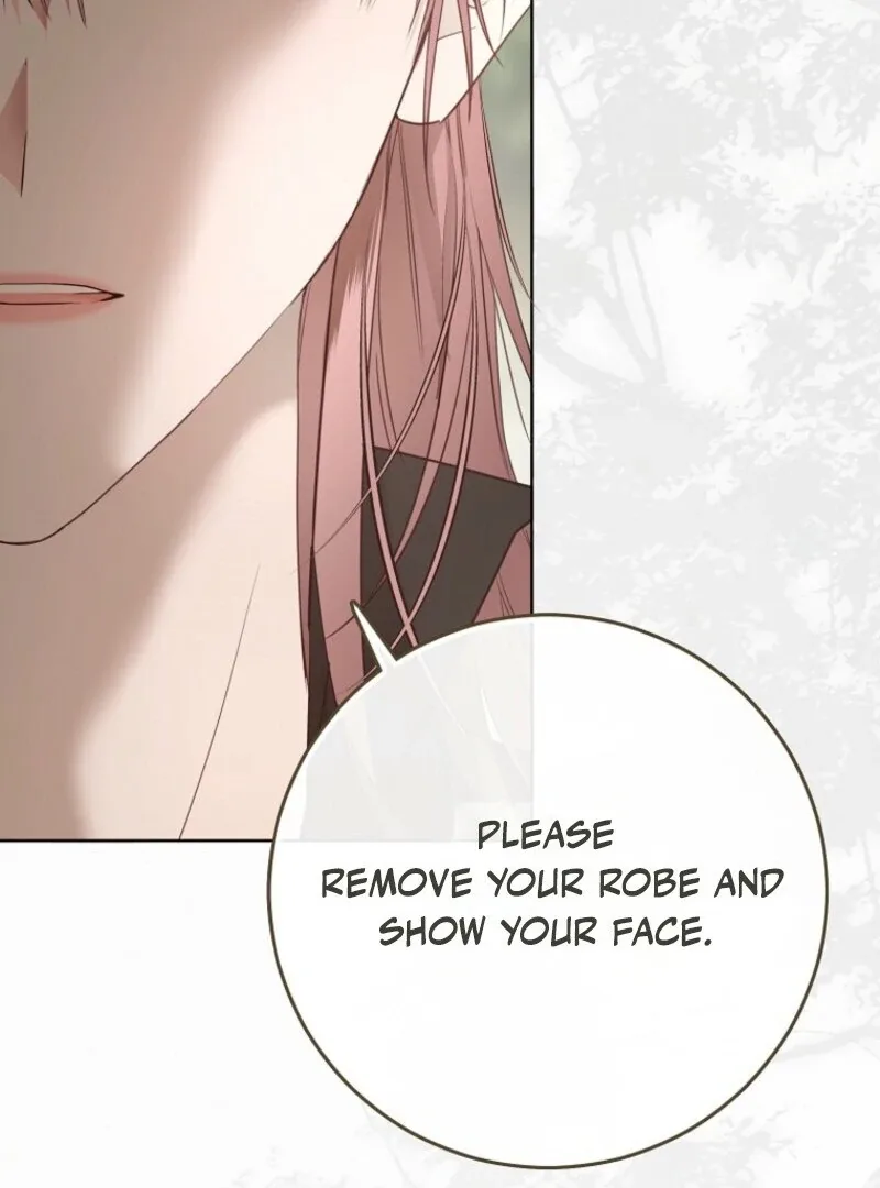 It Looks Like I’ve Fallen into the World of a Reverse Harem Game Chapter 156 page 118