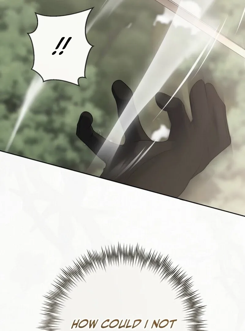 It Looks Like I’ve Fallen into the World of a Reverse Harem Game Chapter 156 page 112
