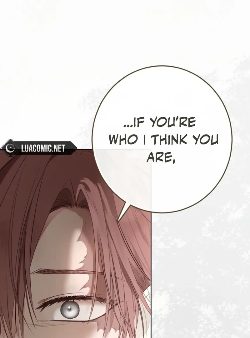 It Looks Like I’ve Fallen into the World of a Reverse Harem Game Chapter 156 page 117