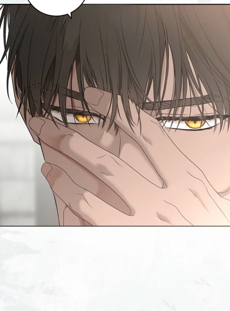 It Looks Like I’ve Fallen into the World of a Reverse Harem Game Chapter 157 page 131