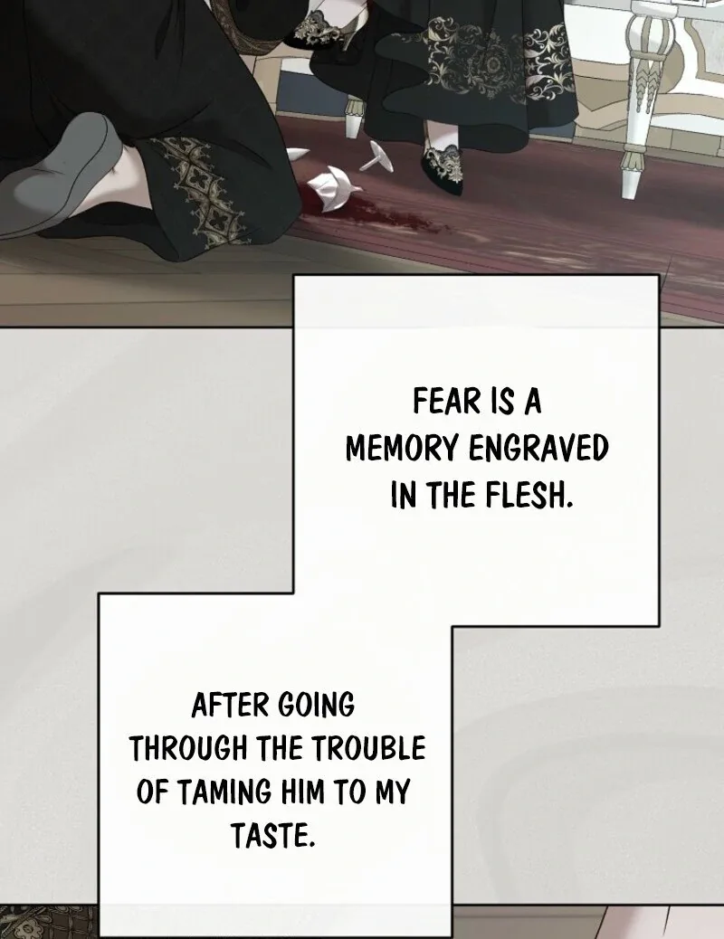 It Looks Like I’ve Fallen into the World of a Reverse Harem Game Chapter 157 page 121