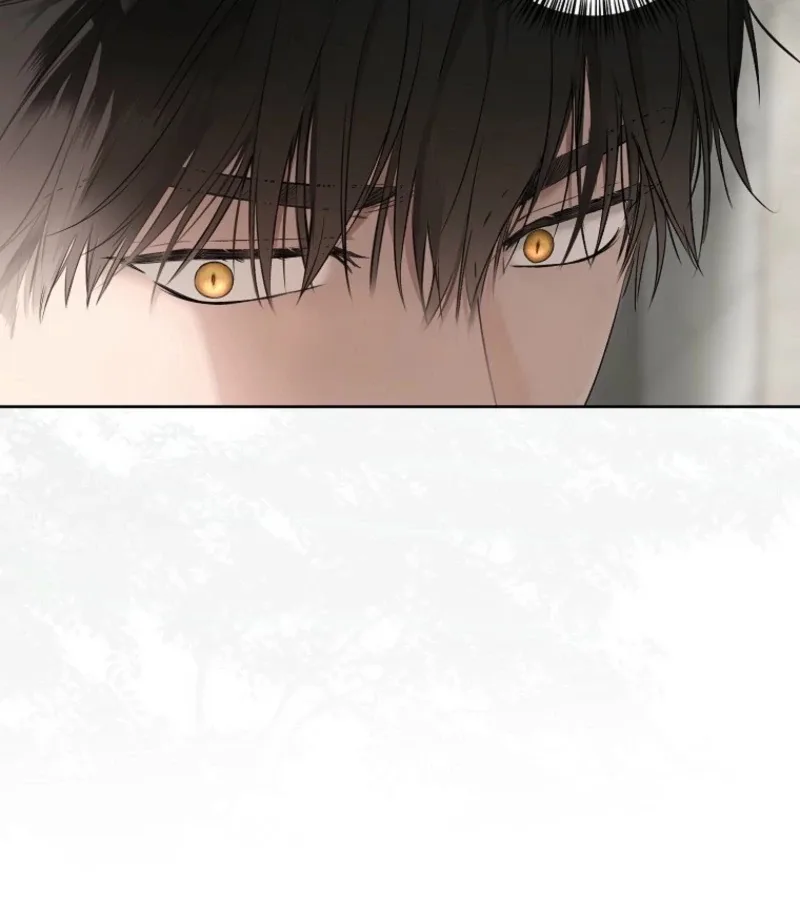 It Looks Like I’ve Fallen into the World of a Reverse Harem Game Chapter 159 page 43