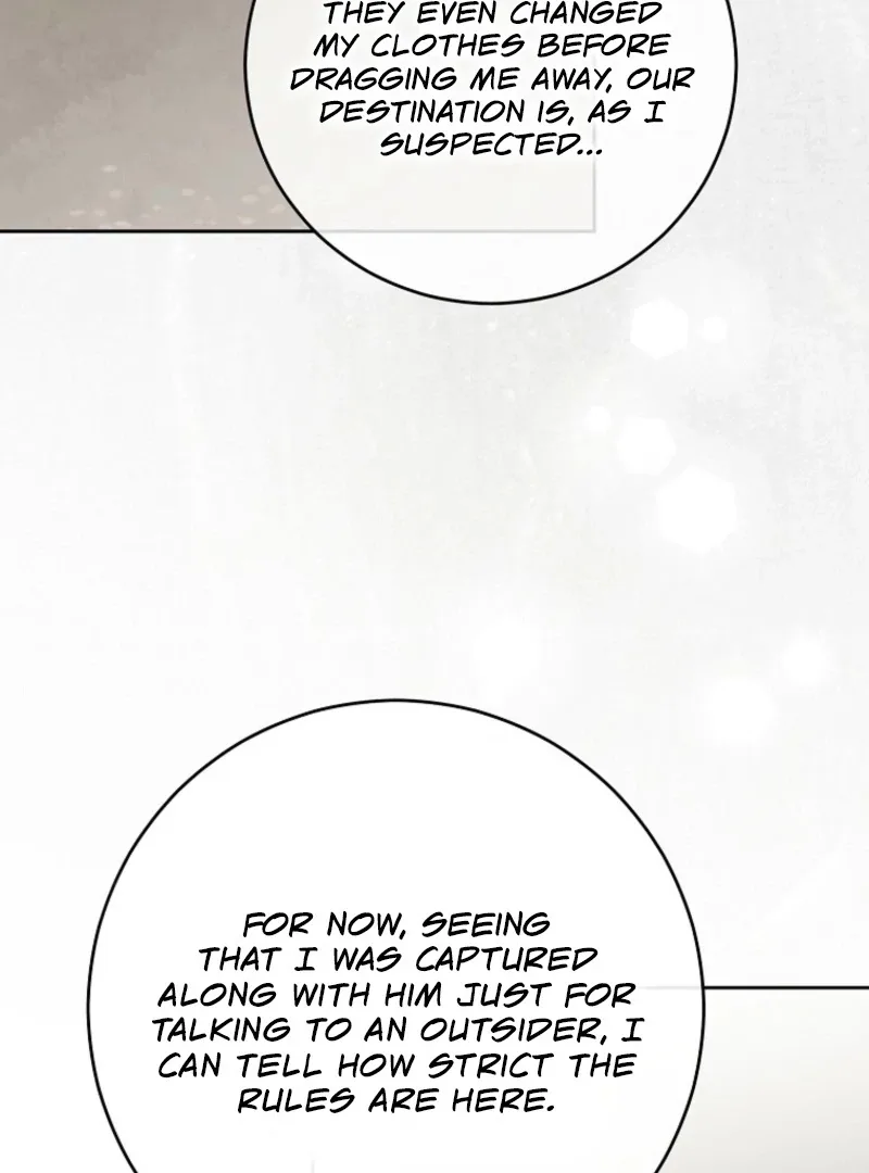 It Looks Like I’ve Fallen into the World of a Reverse Harem Game Chapter 159 page 98