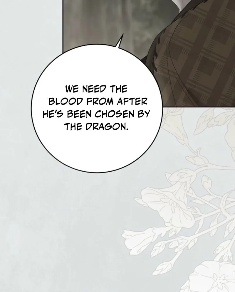 It Looks Like I’ve Fallen into the World of a Reverse Harem Game Chapter 162 page 56
