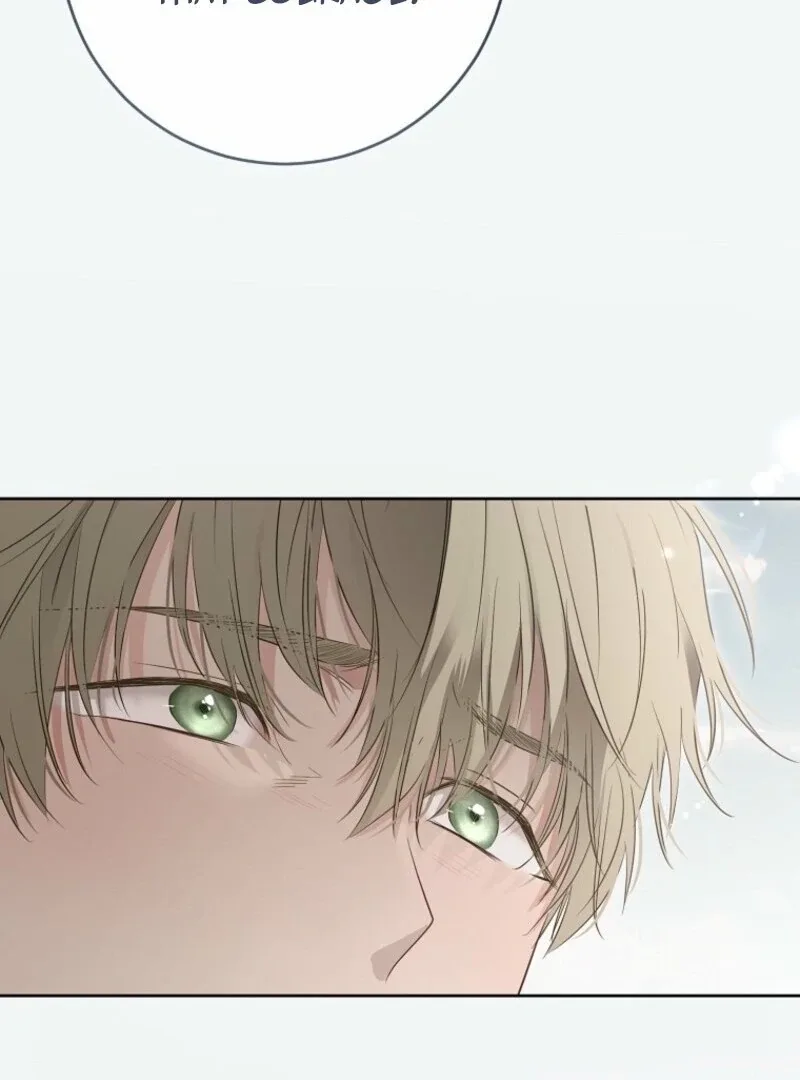 It Looks Like I’ve Fallen into the World of a Reverse Harem Game Chapter 162 page 119