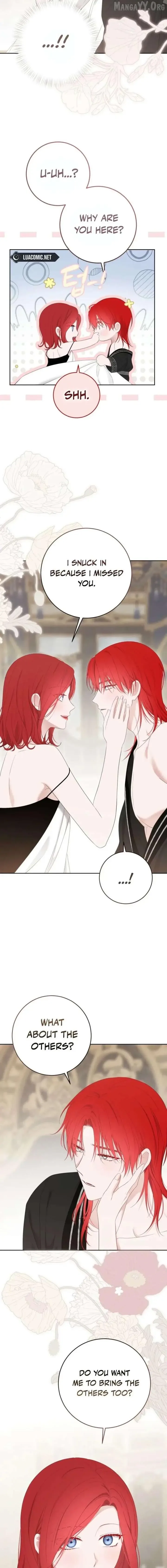 It Looks Like I’ve Fallen into the World of a Reverse Harem Game Chapter 172 page 2
