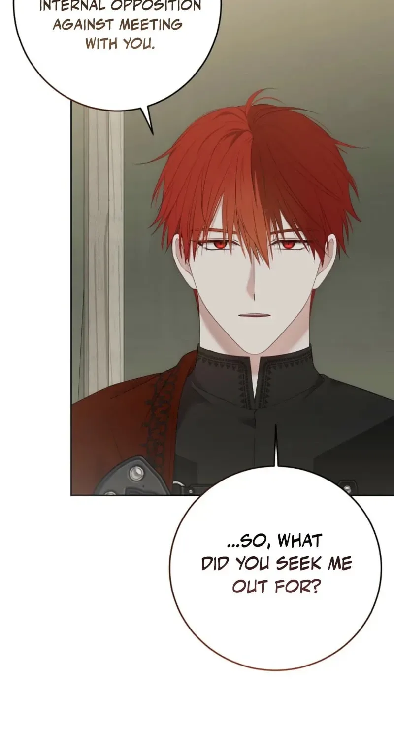 It Looks Like I’ve Fallen into the World of a Reverse Harem Game Chapter 173 page 47