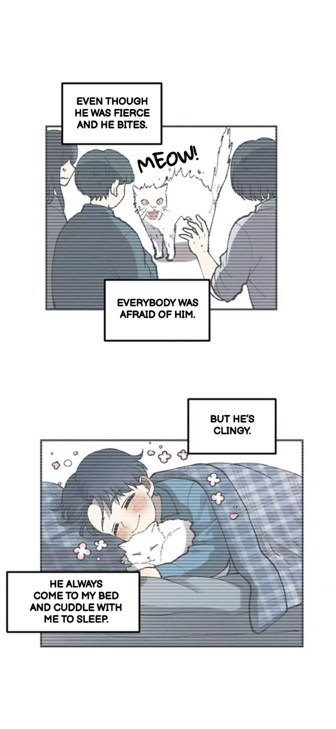 The Chronicle Of Teenage Boys Chapter 68 page 23