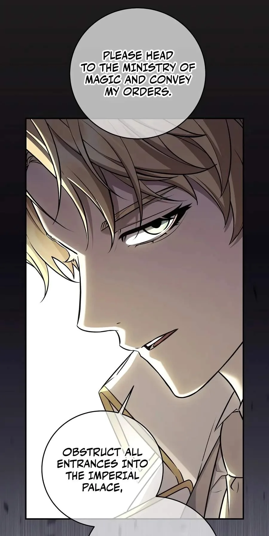 Margrave’s Bastard Son was The Emperor Chapter 127 page 11