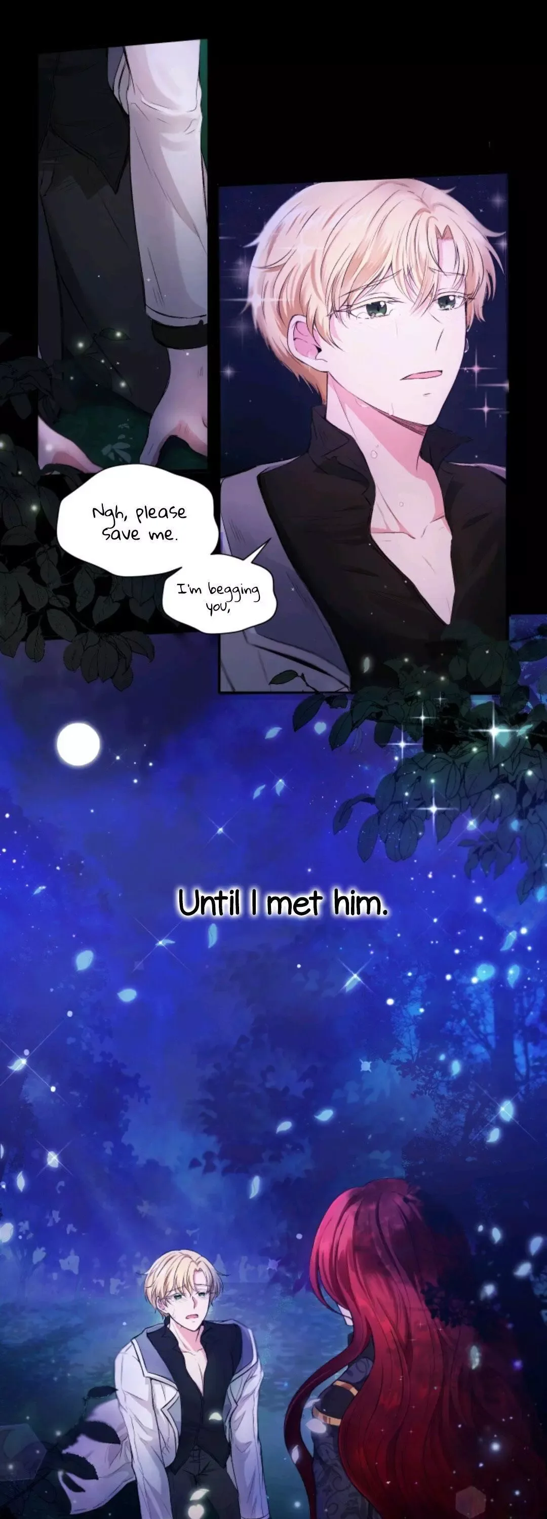 The Princess is Evil Chapter 1 page 2