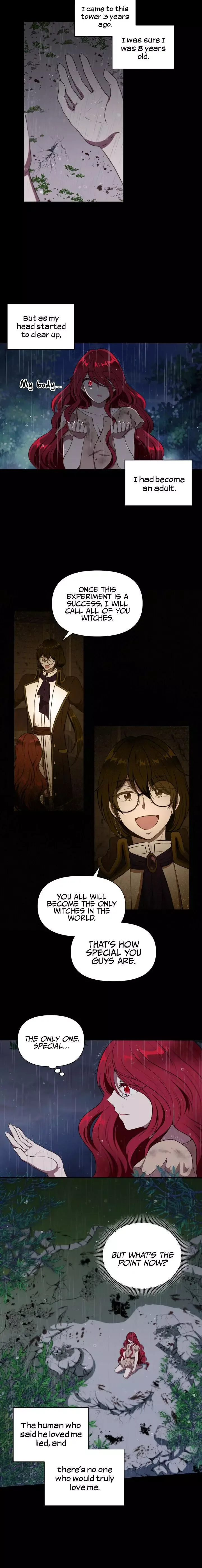 The Princess is Evil Chapter 11 page 10