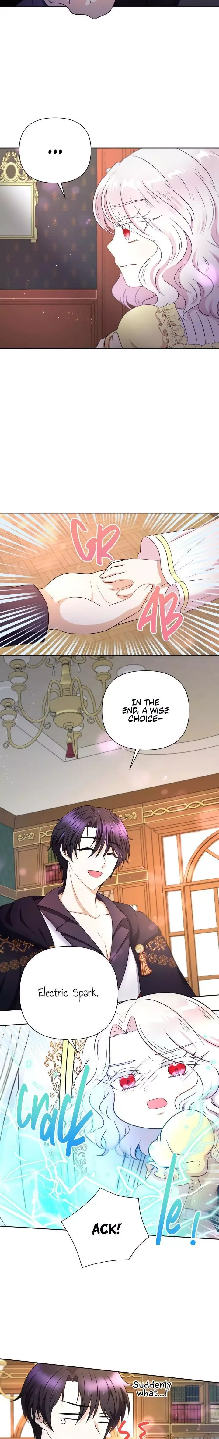 The Princess is Evil Chapter 24 page 13