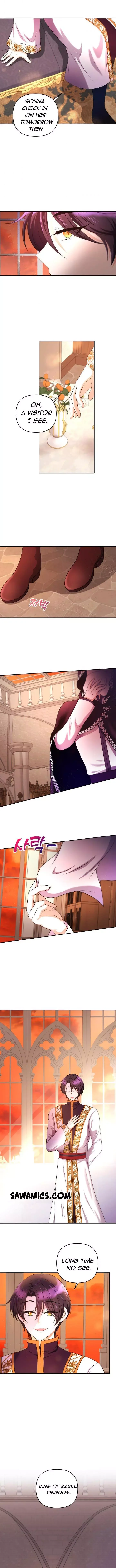 The Princess is Evil Chapter 28.2 page 3