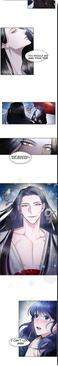 The Bridal Night Chapter 3 page 4