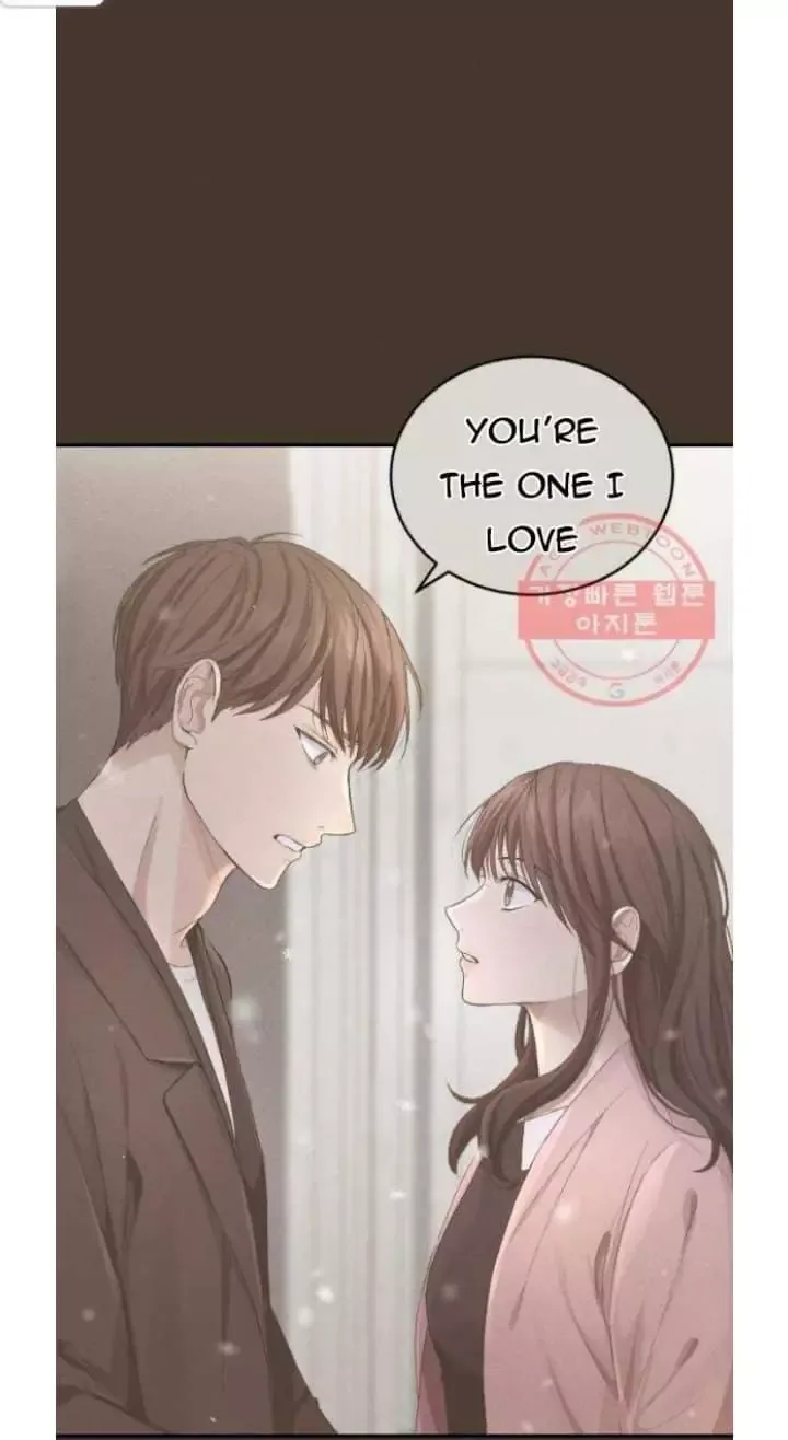 The Essence Of A Perfect Marriage Chapter 2 page 73