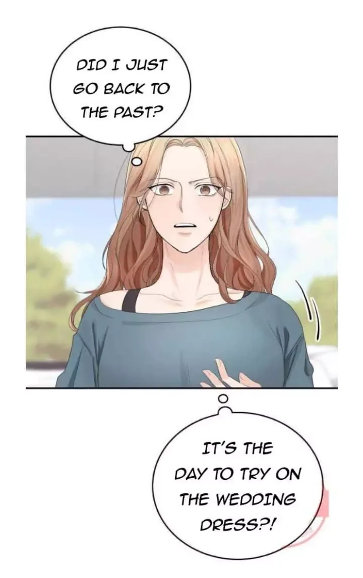 The Essence Of A Perfect Marriage Chapter 2 page 101