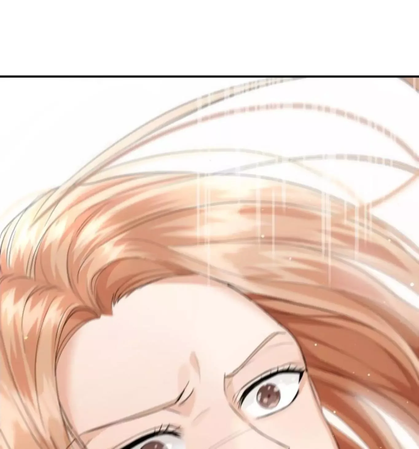 The Essence Of A Perfect Marriage Chapter 10.5 page 5