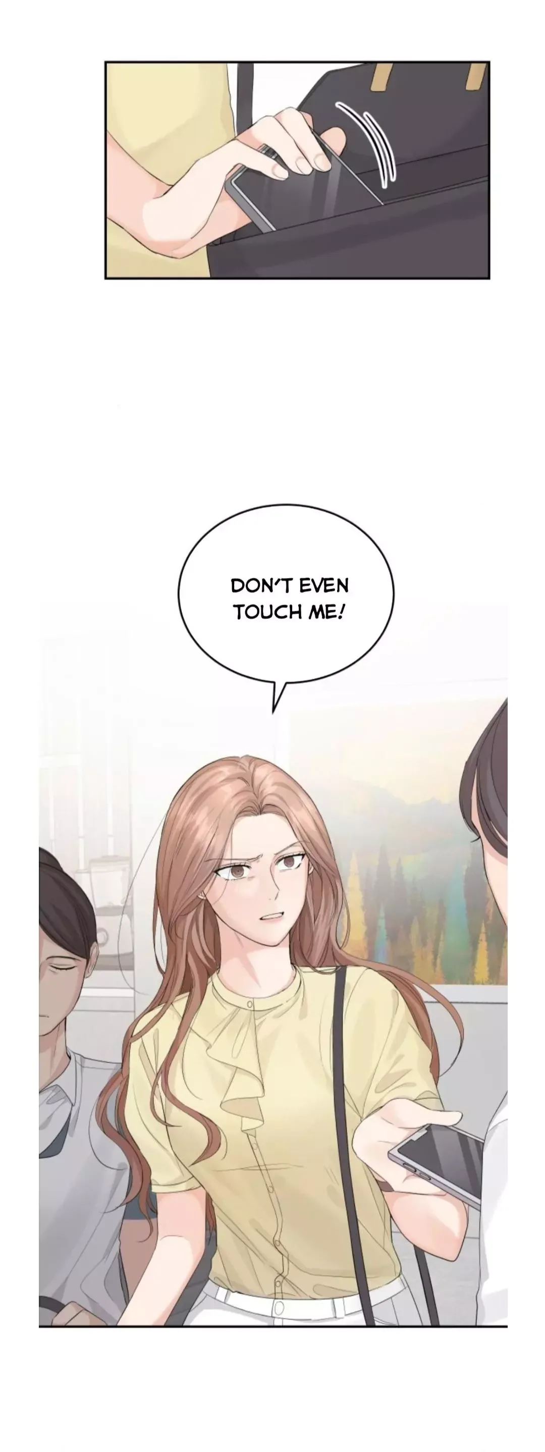 The Essence Of A Perfect Marriage Chapter 9.5 page 12