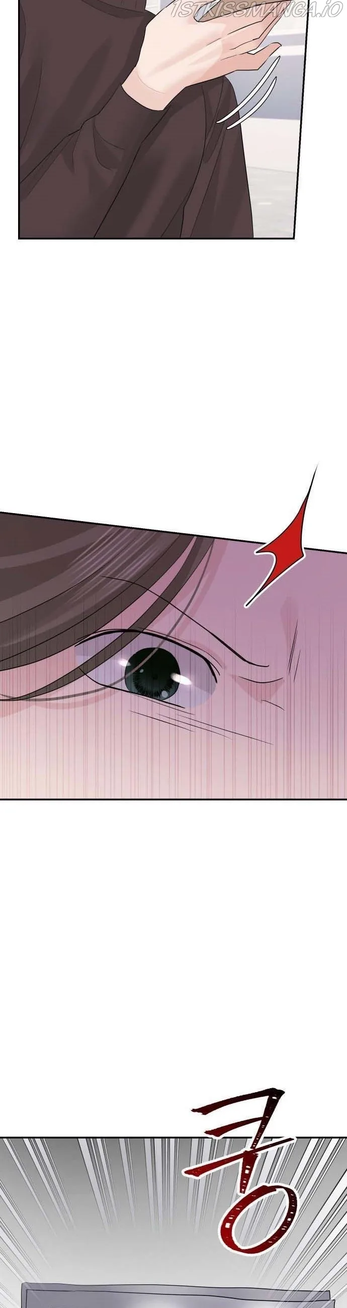 The Essence Of A Perfect Marriage Chapter 46 page 34