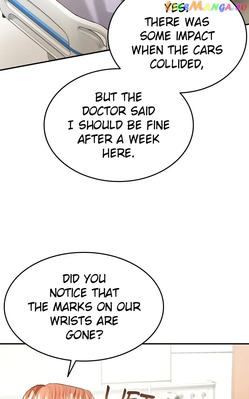 The Essence Of A Perfect Marriage Chapter 115 page 101