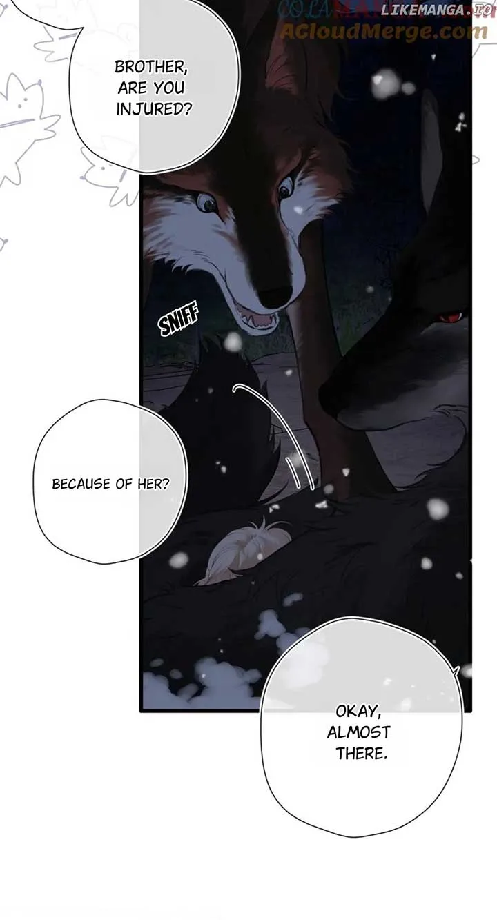 Back to Spring Chapter 25 page 5