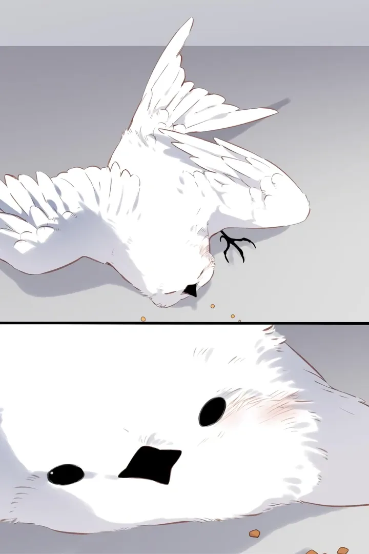 Back to Spring Chapter 32 page 46