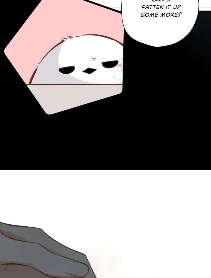 Back to Spring Chapter 32 page 51