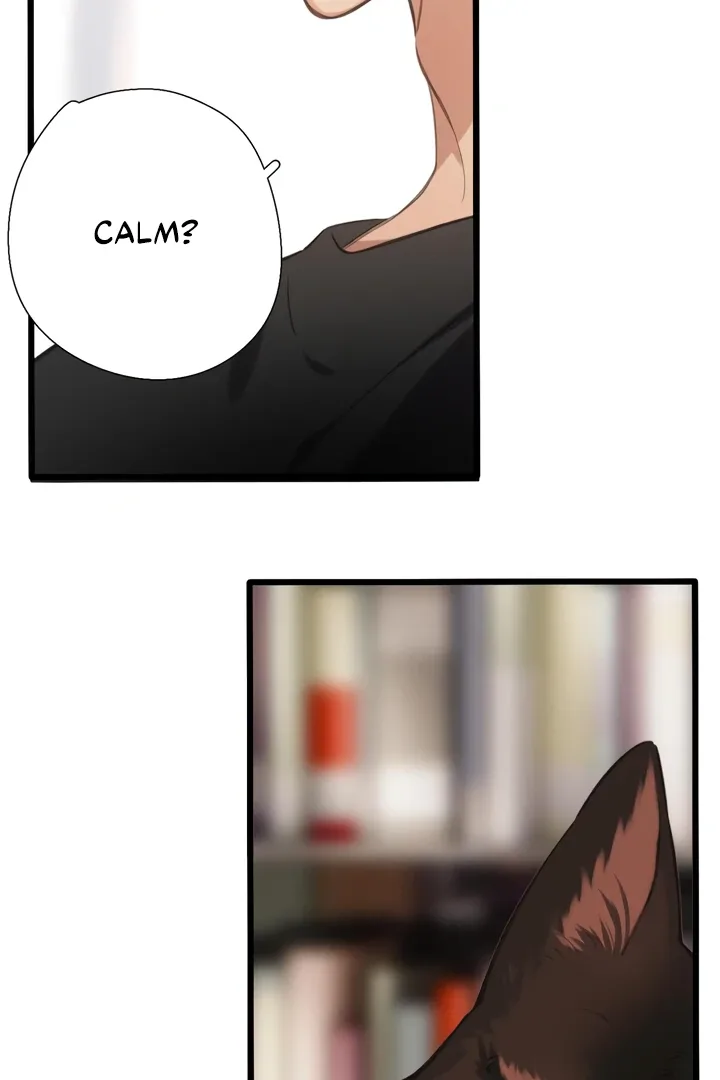 Back to Spring Chapter 45 page 62