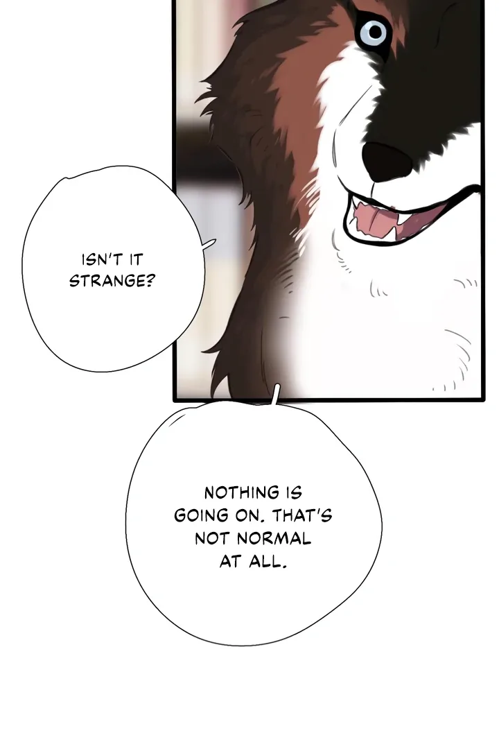 Back to Spring Chapter 45 page 63